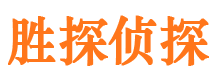 滨湖侦探公司